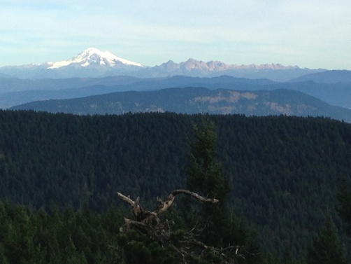 view-of-mount-baker-from-little-summit-502x377px-IMG_0283